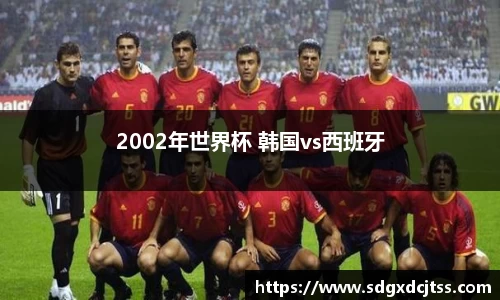 2002年世界杯 韩国vs西班牙
