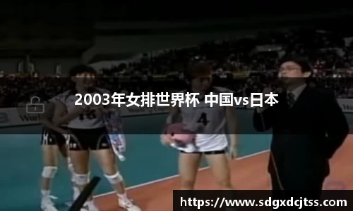 2003年女排世界杯 中国vs日本