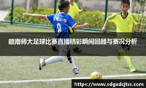 赣南师大足球比赛直播精彩瞬间回顾与赛况分析
